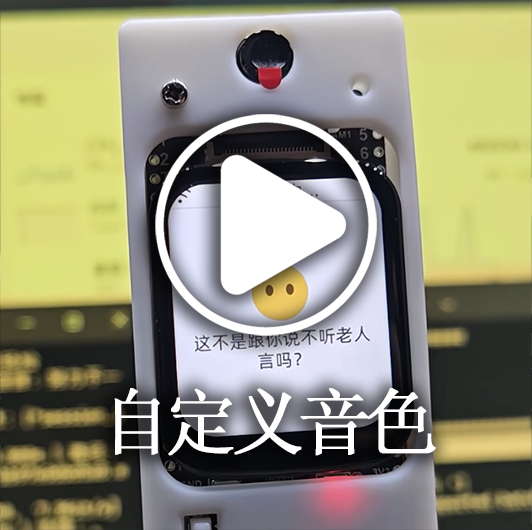 Custom voice